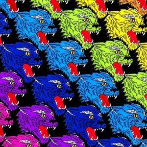 Meet your Posher, Jack